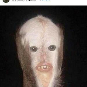 Meet your Posher, Callan